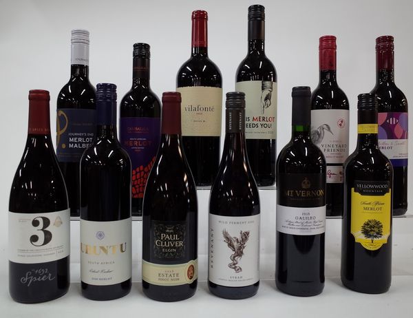 12 BOTTLES SOUTH AFRICAN RED WINE