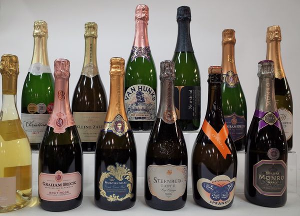 12 BOTTLES SOUTH AFRICAN SPARKLING WINE