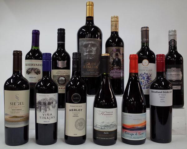 12 BOTTLES CHILEAN RED WINE