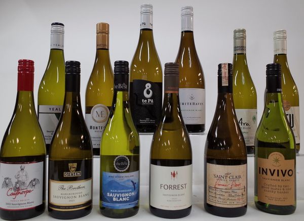 12 BOTTLES NEW ZEALAND SAUVIGNON BLANC