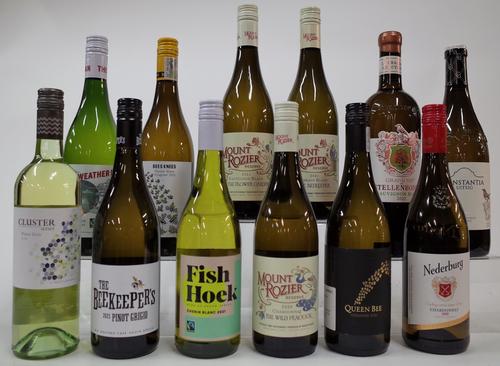 12 BOTTLES SOUTH AFRICAN WHITE WINE