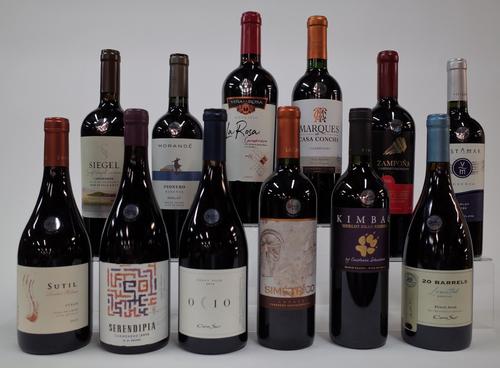 12 BOTTLES CHILEAN RED WINE