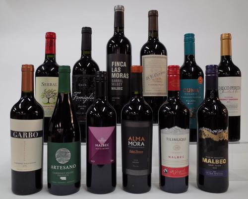 12 BOTTLES ARGENTINIAN RED WINE