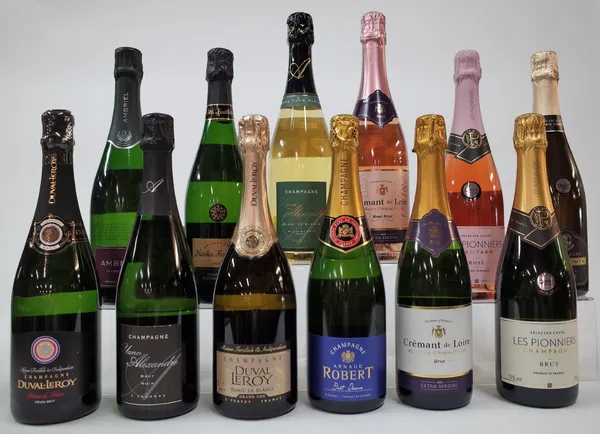 12 BOTTLES CHAMPAGNE AND SPARKLING WINE