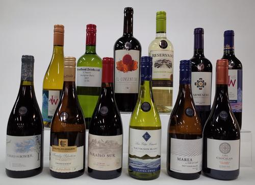 12 BOTTLES CHILEAN RED AND WHITE WINE
