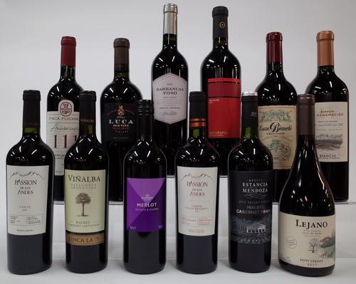 12 BOTTLES ARGENTINIAN RED WINE
