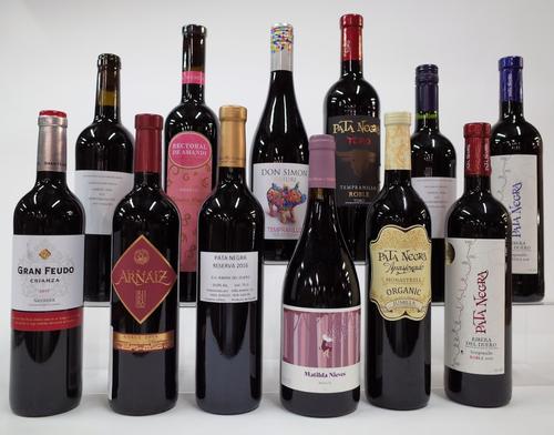 12 BOTTLES SPANISH RED WINE