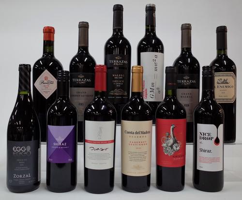 12 BOTTLES ARGENTINIAN RED WINE
