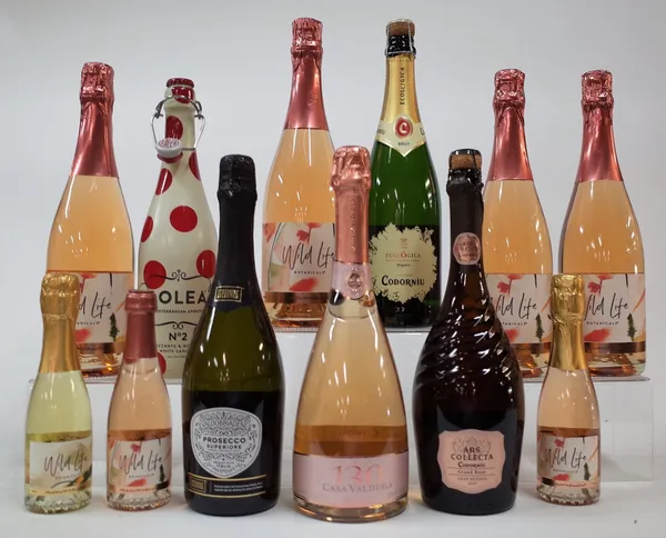 12 BOTTLES SPARKLING WINE AND LOW ALCOHOL DRINKS