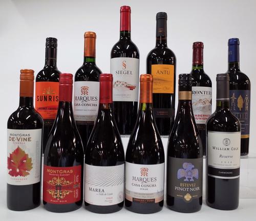12 BOTTLES CHILEAN RED WINE
