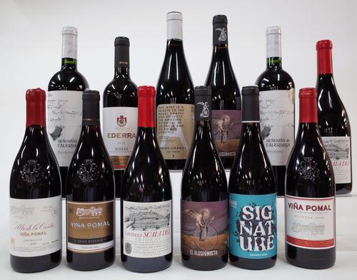 12 BOTTLES SPANISH RED WINE