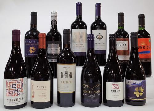 12 BOTTLES CHILEAN RED WINE