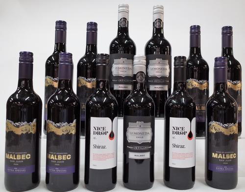 9 BOTTLES ARGENTINIAN AND 3 BOTTLES CHILEAN RED WINE