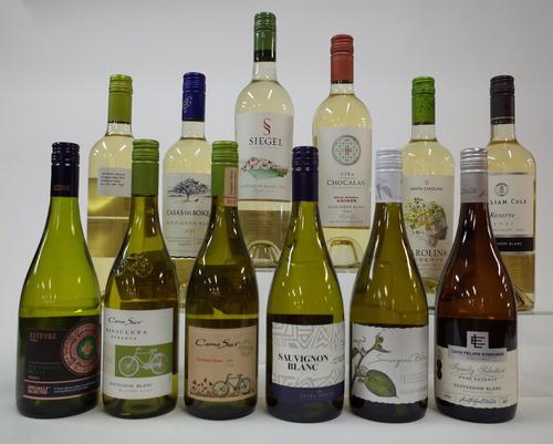 12 BOTTLES CHILEAN SAUVIGNON BLANC