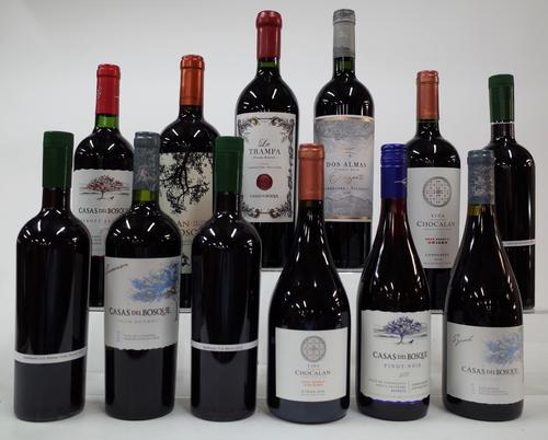 12 BOTTLES CHILEAN RED WINE