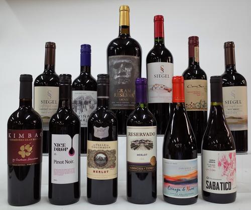 12 BOTTLES CHILEAN RED WINE