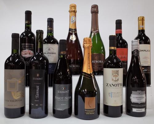 12 BOTTLES BRAZILIAN AND CHILEAN WINE (MIXED)