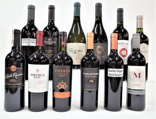 11 BOTTLES ARGENTINIAN RED AND 1 WHITE WINE