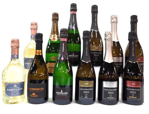 12 BOTTLES ITALIAN SPARKLING WINE