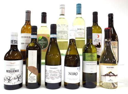 12 BOTTLES ITALIAN WHITE WINE