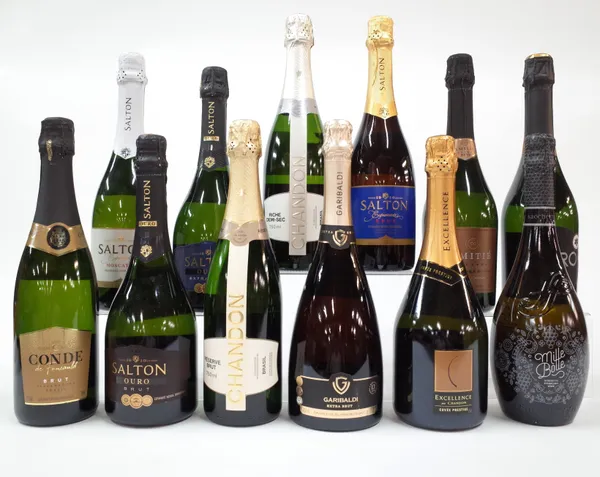 12 BOTTLES BRAZILIAN AND ITALIAN SPARKLING WINE