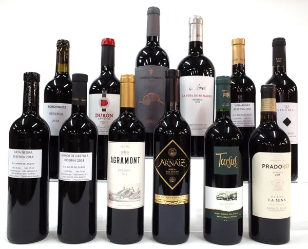 12 BOTTLES SPANISH RED WINE