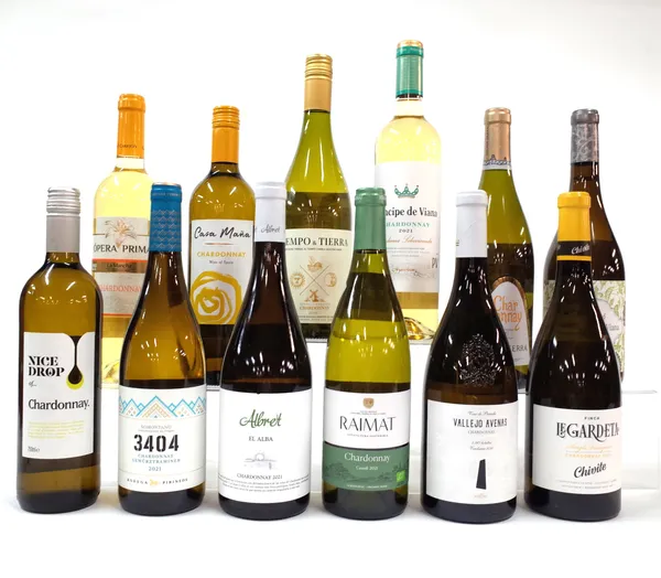 12 BOTTLES SPANISH CHARDONNAY