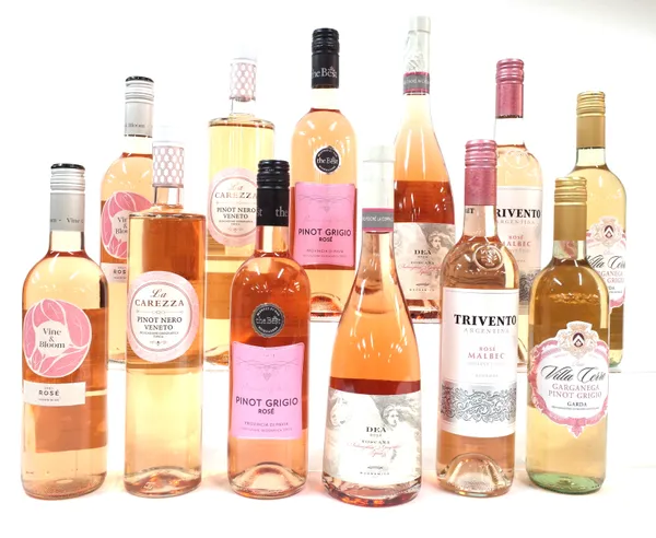 12 BOTTLES ITALIAN AND ARGENTINIAN ROSÉ WINE