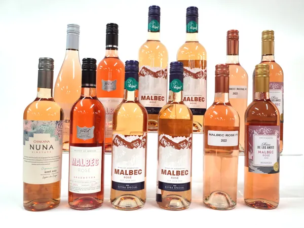 12 BOTTLES ARGENTINIAN ROSÉ WINE