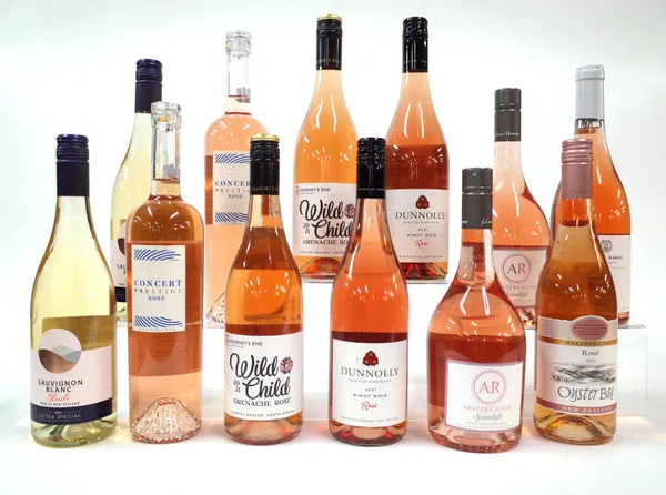 12 BOTTLES NEW ZEALAND, ROMANIAN, SOUTH AFRICAN AND MEXICAN ROSÉ AND BLUSH WINE