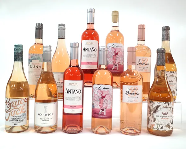 12 BOTTLES SOUTH AFRICAN, SPANISH AND MOROCCAN ROSÉ WINE