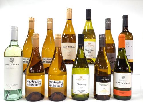 12 BOTTLES MEXICAN AND ARGENTINIAN WHITE WINE