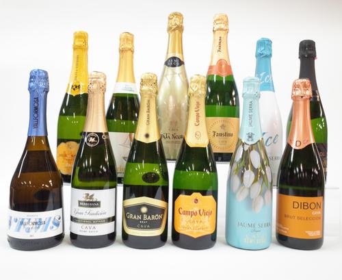 12 BOTTLES CAVA