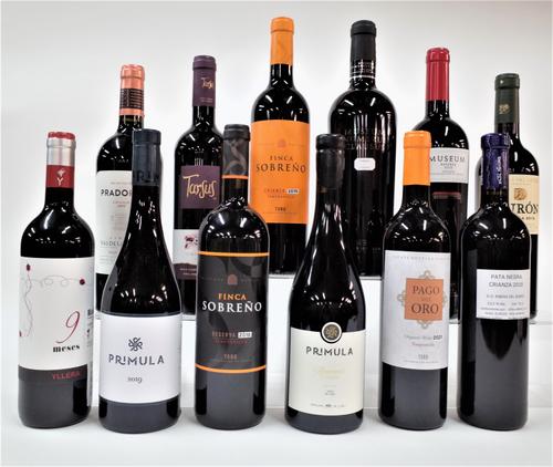 12 BOTTLES SPANISH RED WINE