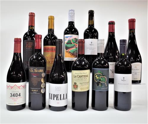 12 BOTTLES SPANISH RED WINE