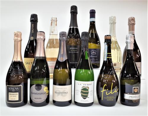 12 BOTTLES ITALIAN, SOUTH AMERICAN AND BRAZILIAN SPARKLING WINE