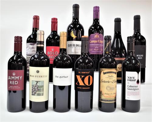 12 BOTTLES SPANISH RED WINE
