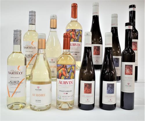 12 BOTTLES MOLDOVAN WHITE WINE