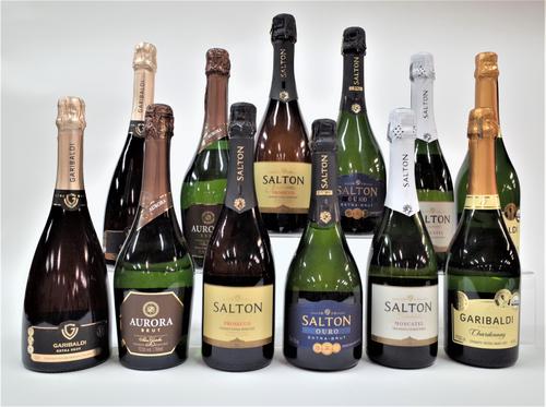 12 BOTTLES ITALIAN SPARKLING WINE