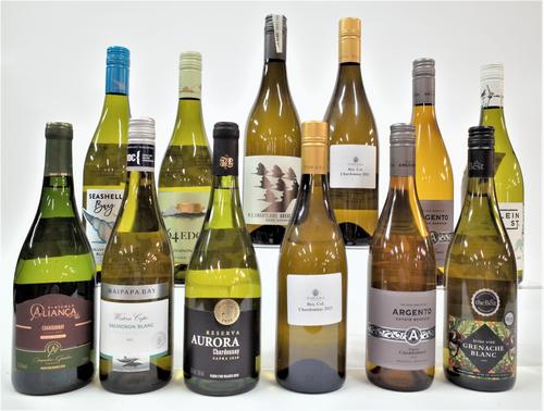 12 BOTTLES BRAZILIAN, ARGENTINIAN AND SOUTH AFRICAN WHITE WINE