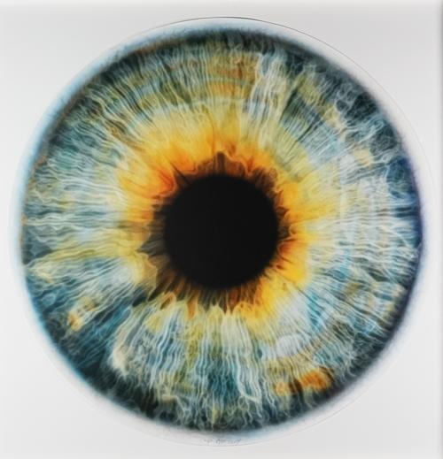 Marc Quinn (British b. 1964)