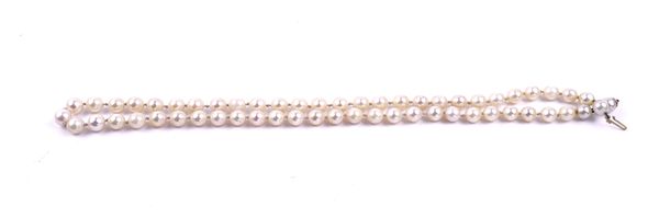 A SINGLE ROW NECKLACE OF CULTURED PEARLS