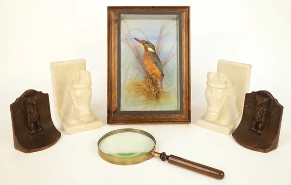 TAXIDERMY; A CASED STUFFED KINGFISHER, TOGETHER WITH TWO PAIRS OF BOOKENDS (6)