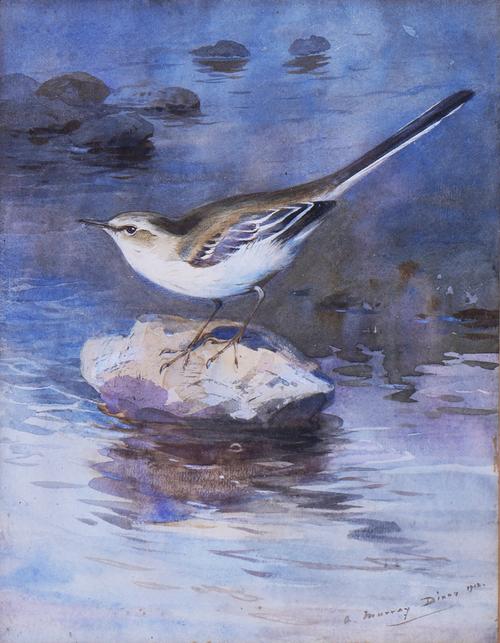 OTTO MURRAY DIXON (BRITISH, 1885-1917)