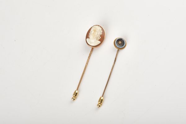 TWO STICK PINS (2)