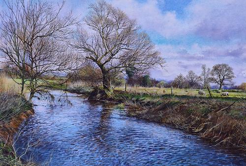 MARTIN TAYLOR (BRITISH, B. 1954)