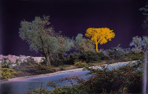 MENASHE KADISHMAN (ISRAELI, 1932-2015) (5)