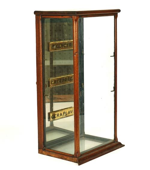 A VICTORIAN MAHOGANY GLAZED APOTHECARY CABINET (2)