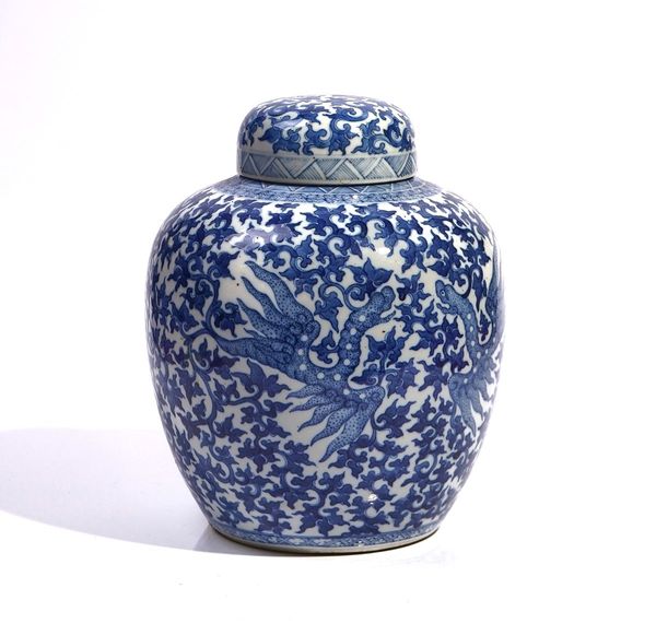 A CHINESE BLUE AND WHITE OVIFORM JAR AND COVER