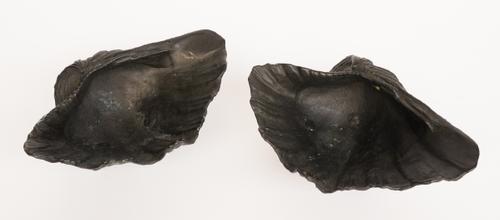 A PAIR OF PATINATED BRONZE SHELL DISHES (2)